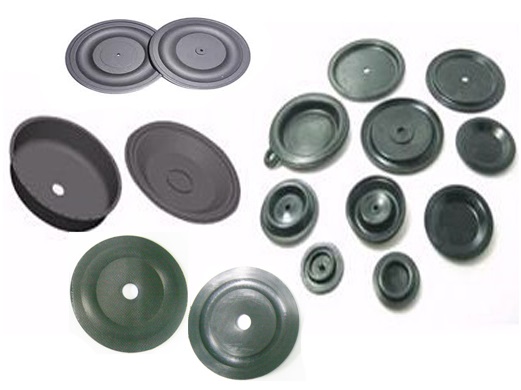 FG04-diaphragm.jpg